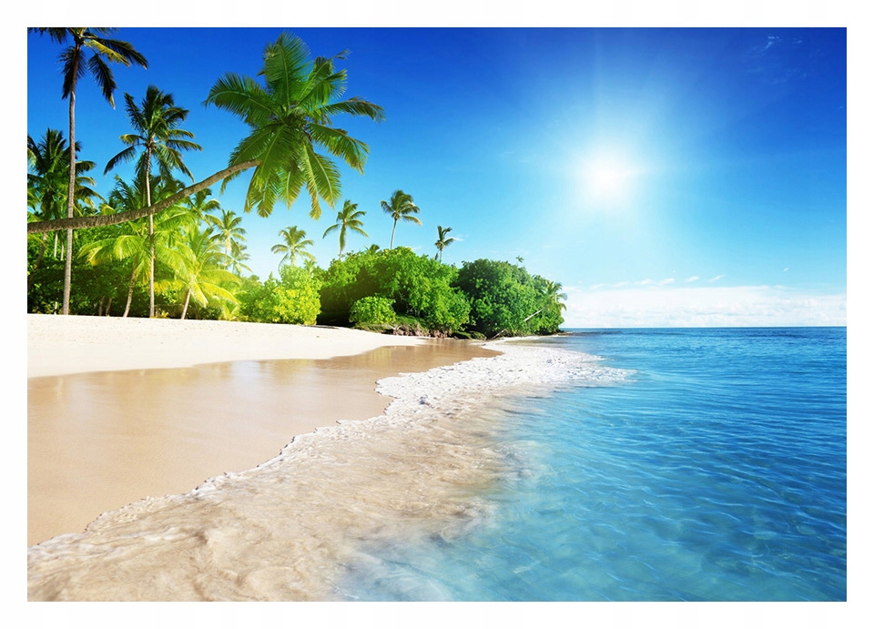 Fototapeta 3D Karaiby plaża palmy 208x146 F00166