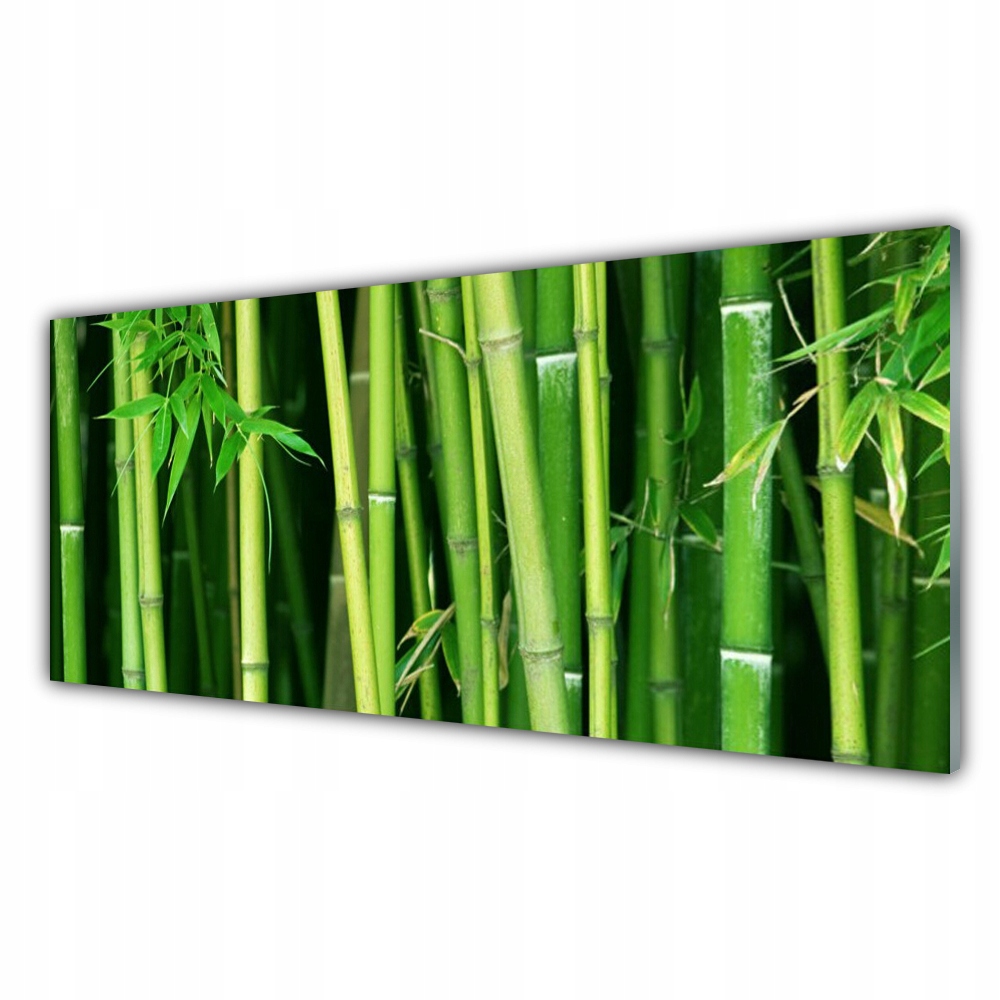

Obraz akrylowy 125x50 Las Bambusowy Bambus Natura