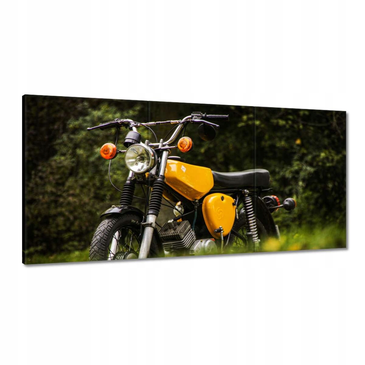 Obrazy 180x90 Moped Simson Klasik