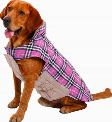 Levně Oboustranná Bunda Pro Psa Joydaog Roz.xs