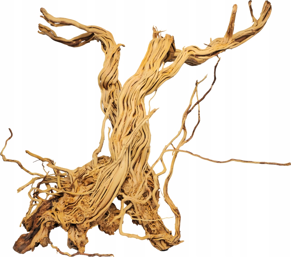 Rotala Premium Azalea Wood 1szt L 4-6kg Dekoracyjny Korzeń do Akwarium