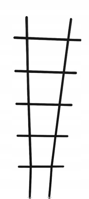 PROSPERPLAST Drabinka podpora dla roślin 50 cm/antracyt IDR2