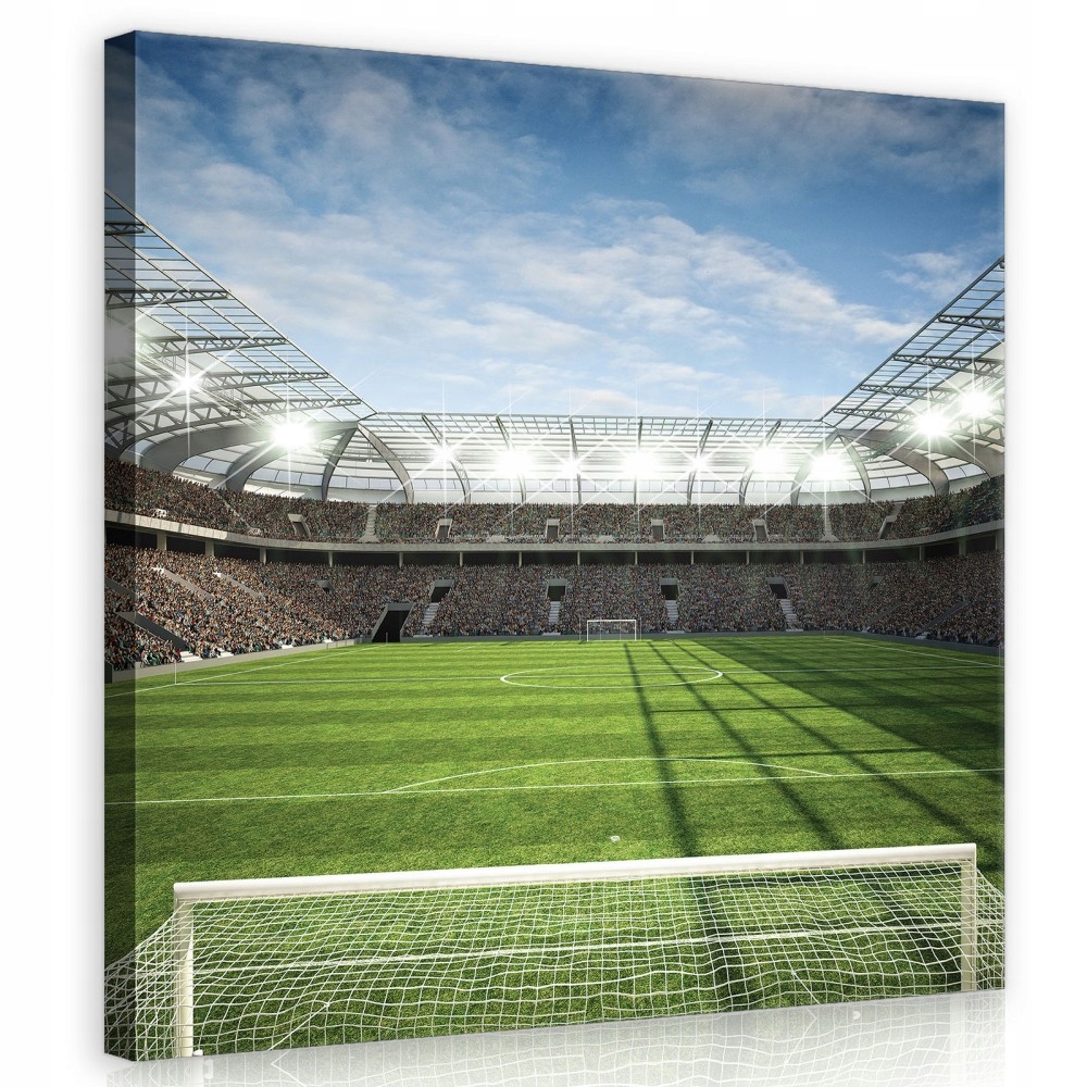 Obraz Na Plátně Canvas 80x80 Míč Stadion Zápas