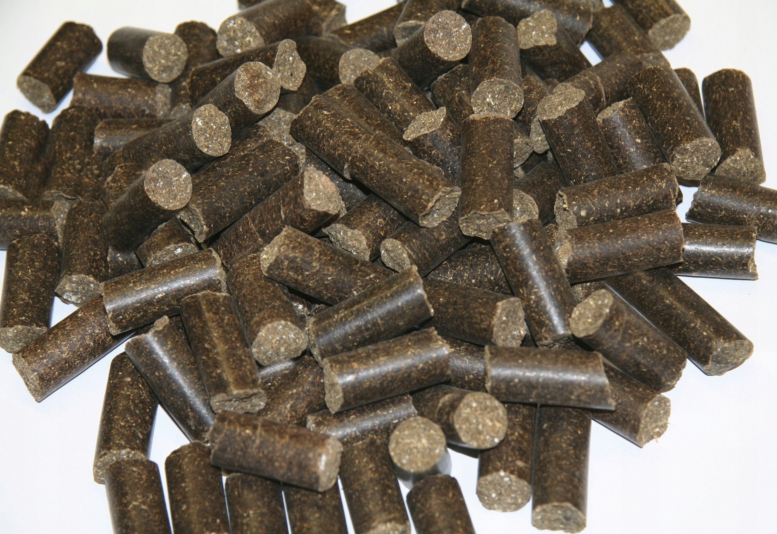 Delizia Classic przysmak dla koni 1kg jabłko Marka Delizia