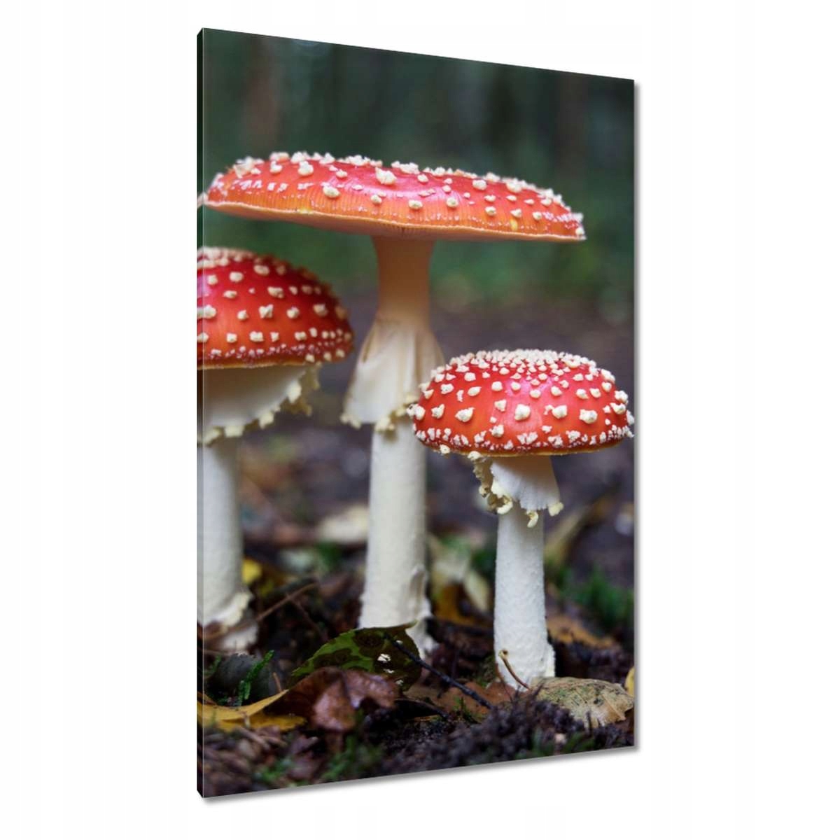 Obrazy 80x120 Makrofotografie MacroFoto