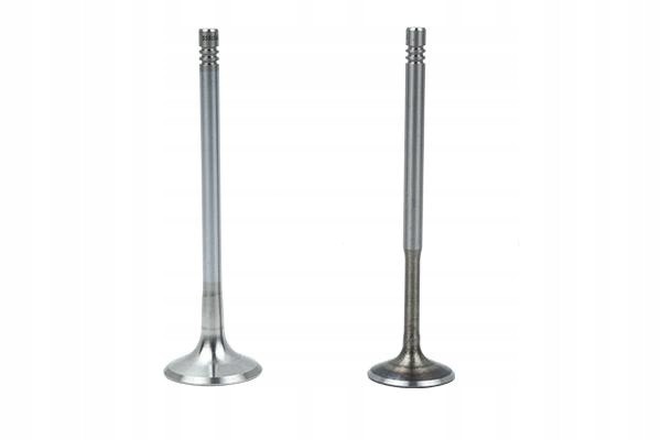 Клапан BORSEHUNG B18636