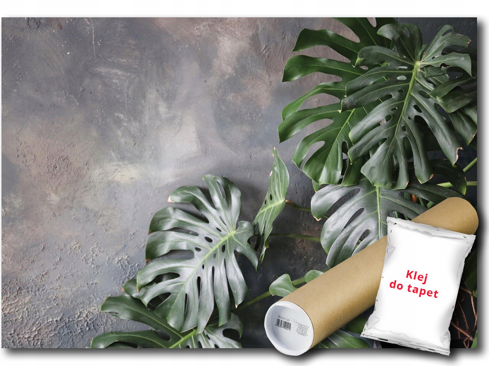 Fototapeta Flizelina Monstera Stěna Zeď 368x254