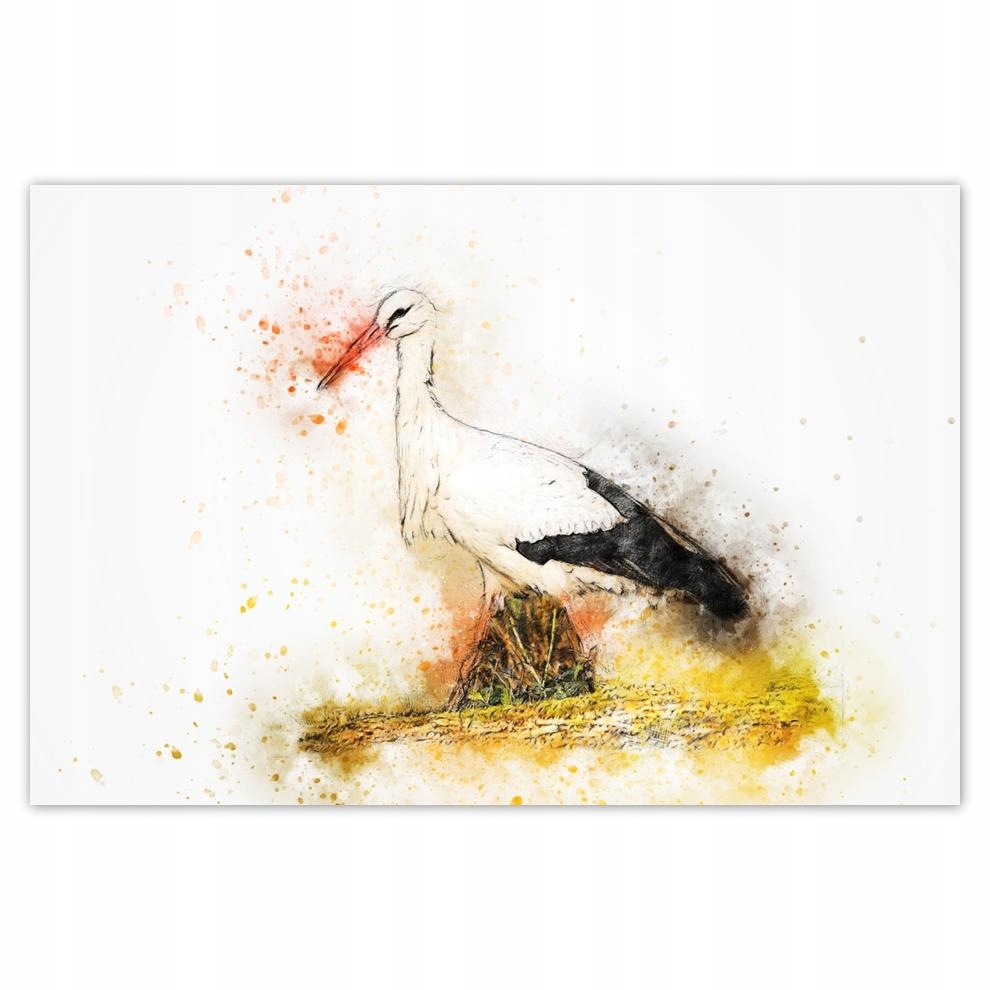 

Plakaty 60x40 Bocian