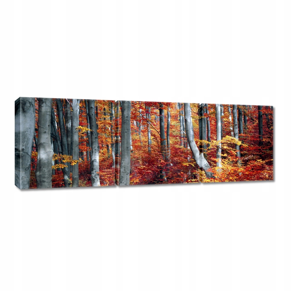 

Obrazy 120x40 Leśny krajobraz Widok
