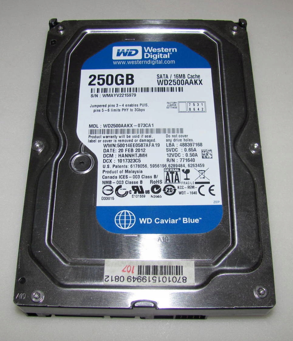 Dysk 250Gb WD SATA2 7200 3,5" DO PC Producent Western Digital