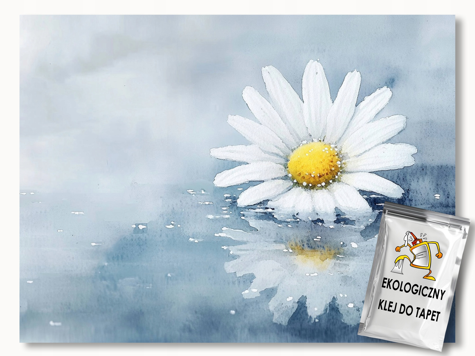 Fototapeta Flizelina Grafika Bílý Květ Sedmikráska Odraz 250x175 110g