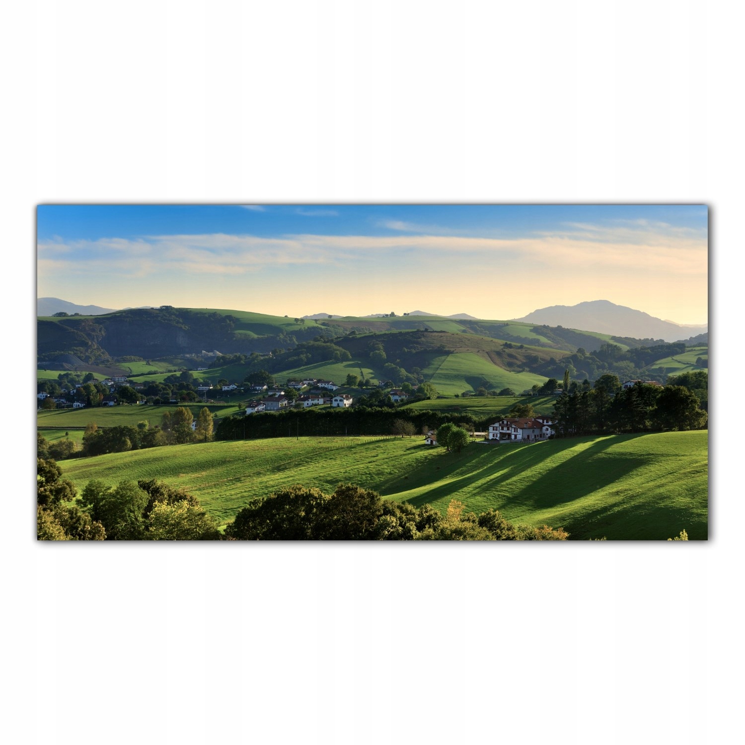 

Obraz Szklany Foto-obraz Łąka Pole Natura 120x60