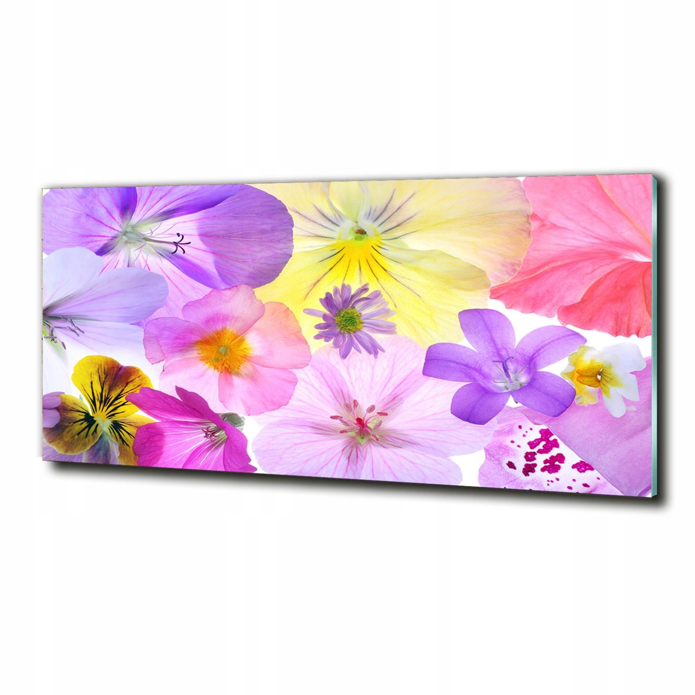 

Foto-Drukowany duży obraz na szkle Bratki 125x50