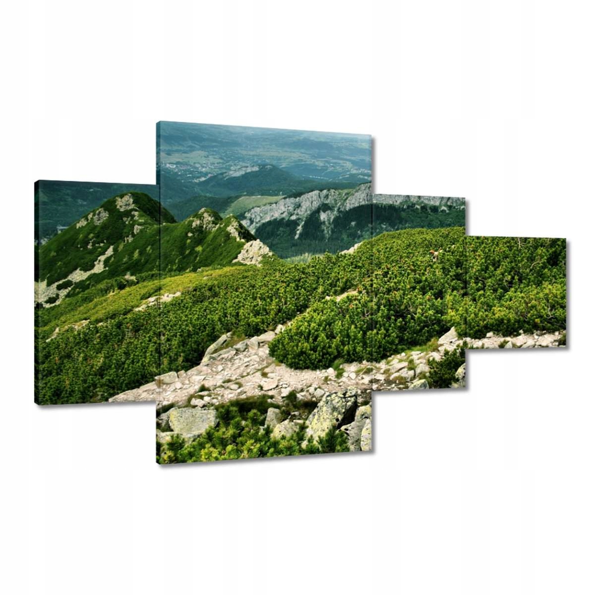 Obrazy 130x80 Tatry Polské hory Pohled