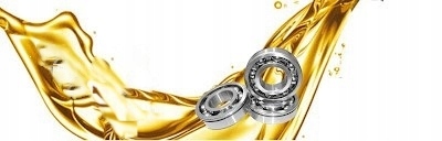 POMPA ZATAPIALNA DO SZAMBA FURIATKA 1500 IBO Model procesora FURIATKA 750