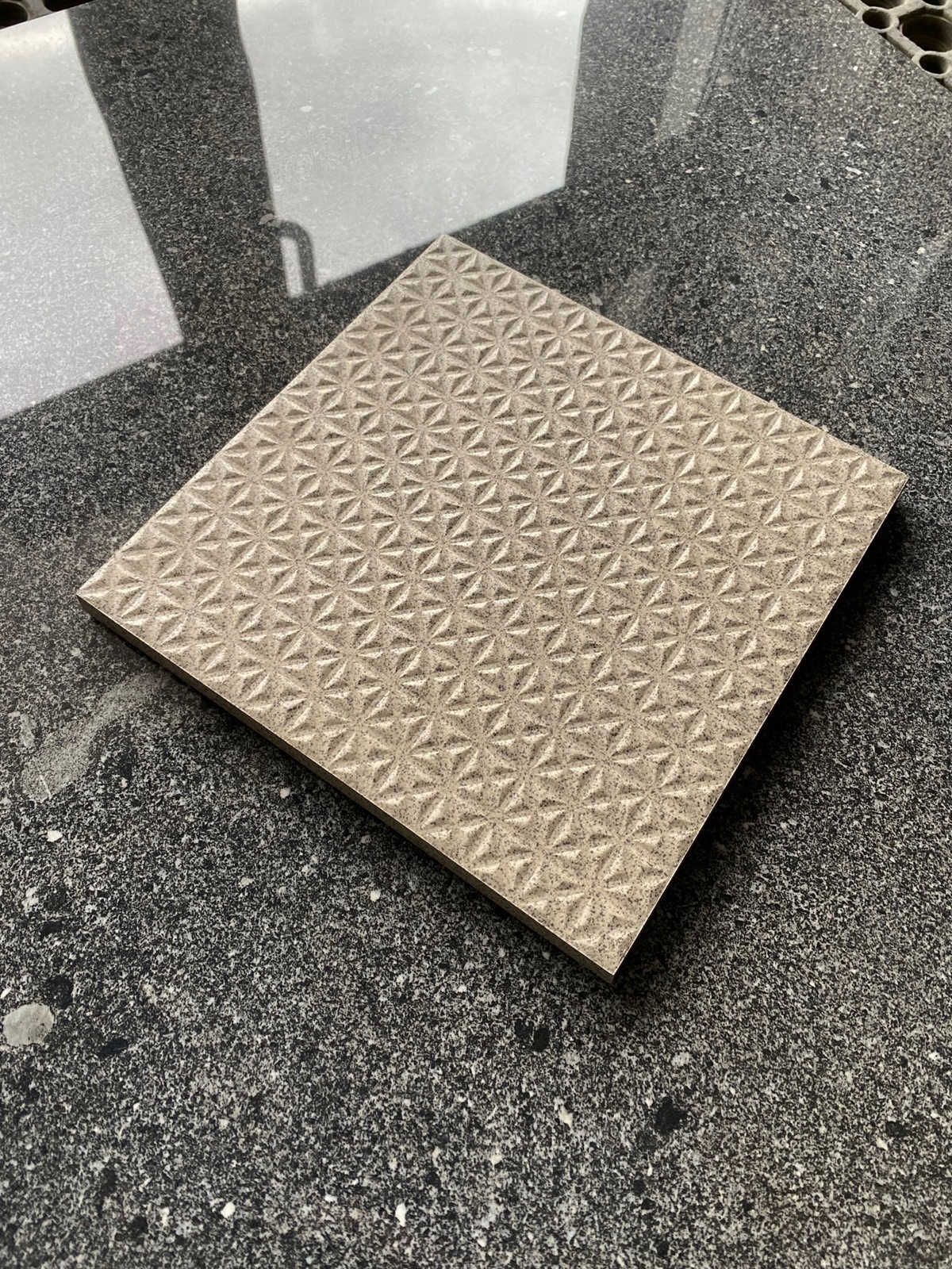 gres płytka kallisto wzmacniana 20x20 gruba 12 mm r 10 Marka Home Design