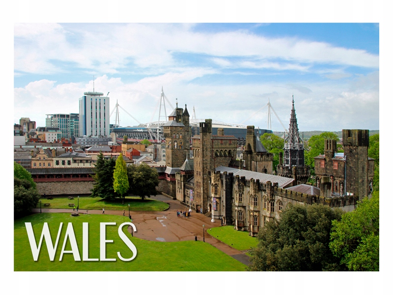 

Walia Cardiff Panorama Magnes na lodówkę