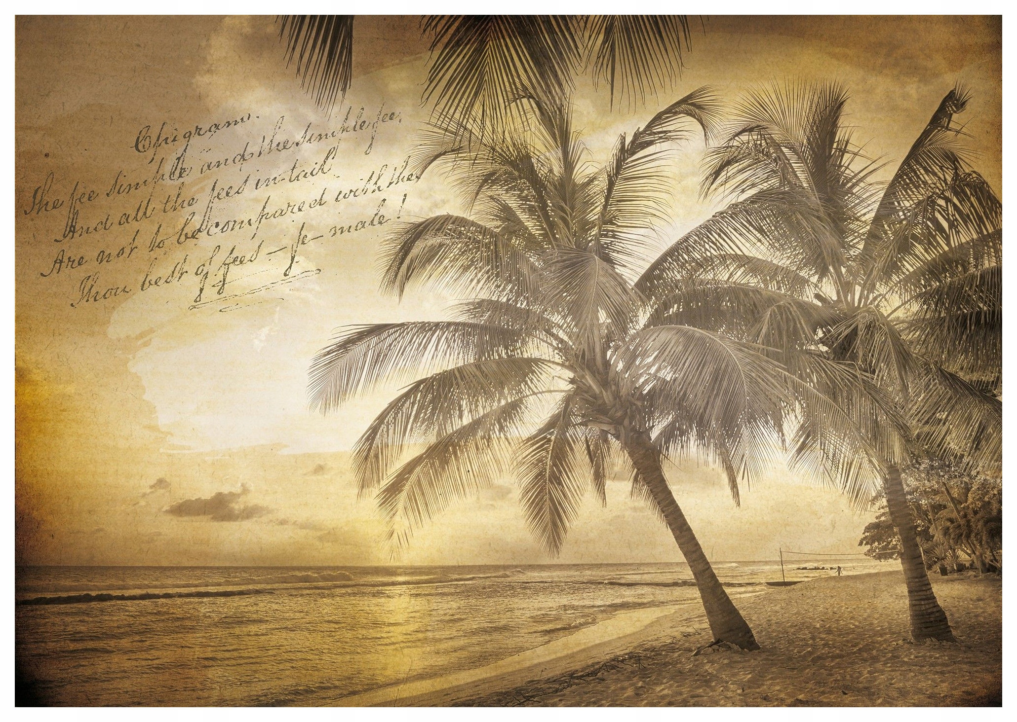 Fototapeta Tropická pláž Palmy Západ slnka Relax Vinyl 208x146 lepidlo