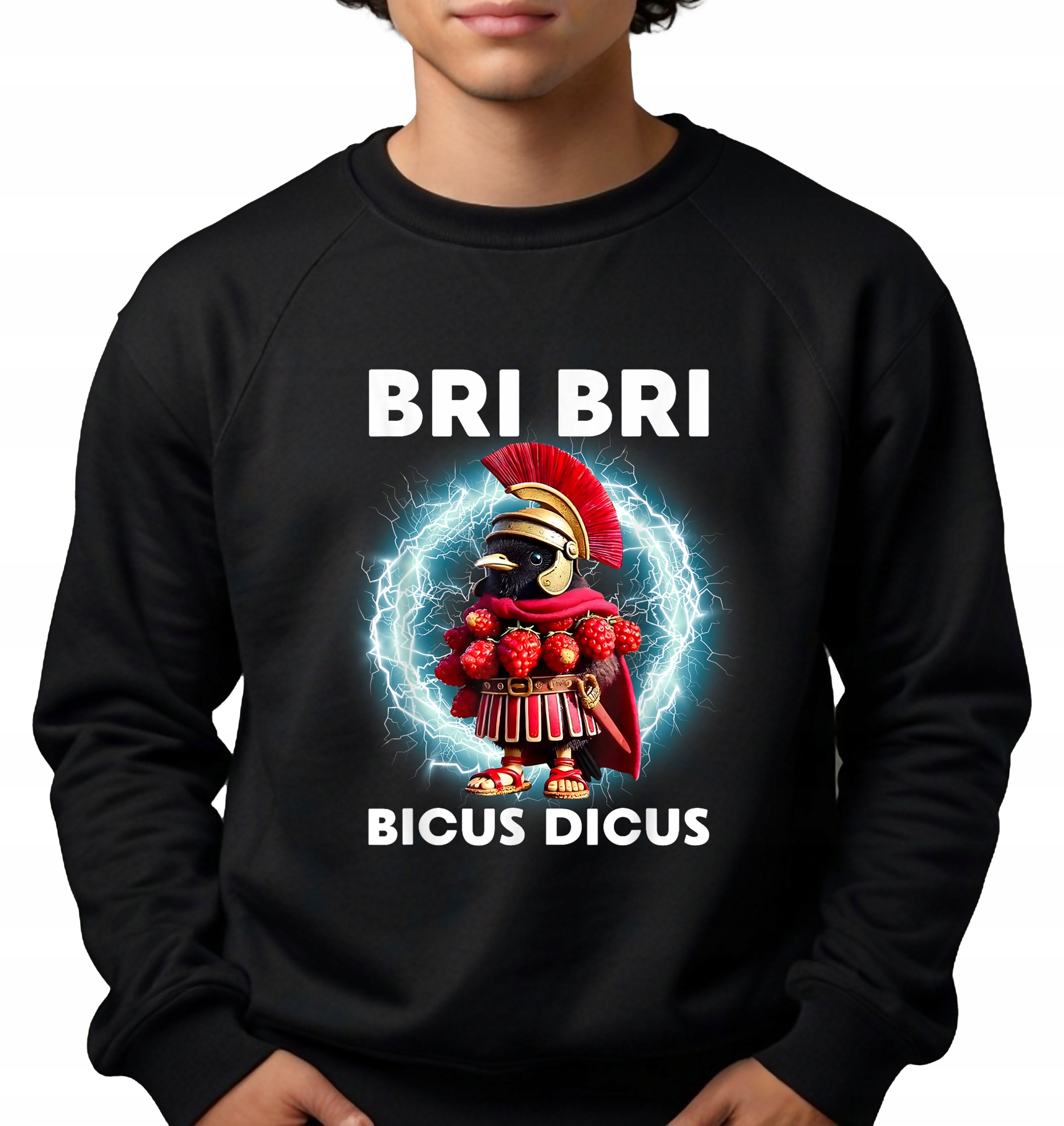Pánská Mikina Černá Dárek Brain Rot Tiktok Trend Bri Bicus Dicus Vel XL