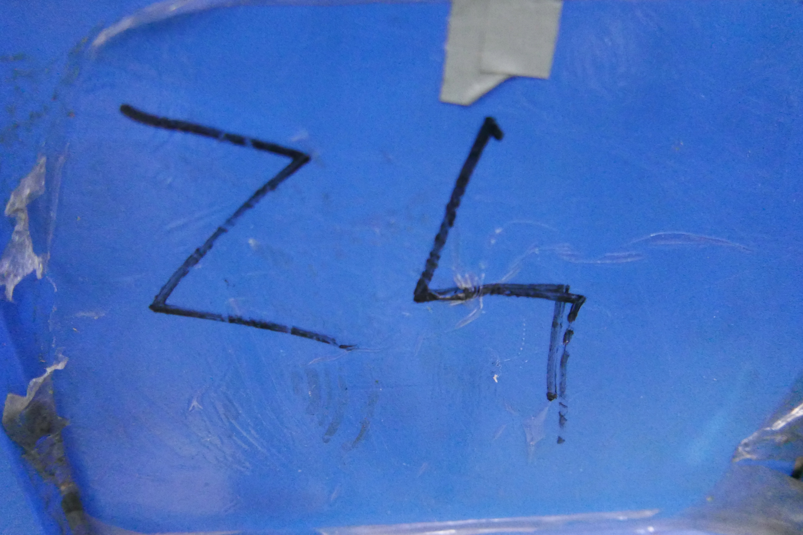 344210c14ae387c5bb8e27914c68