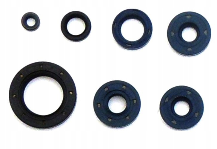 sada těsnění motoru Bombardier Ds 650 00-05 Nová