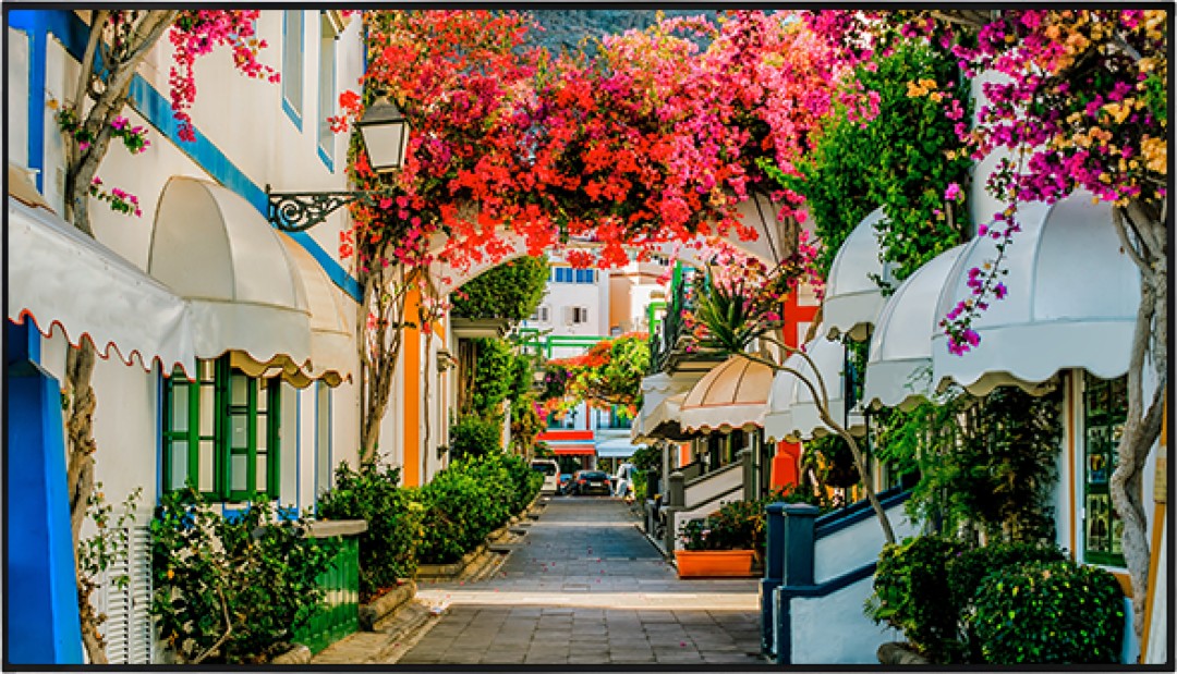 Monitor Vestel XN98B-4F czarny 2,49 m (98") "