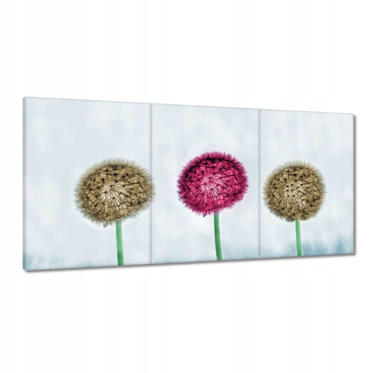 Obrazy 180x90 Púpavy