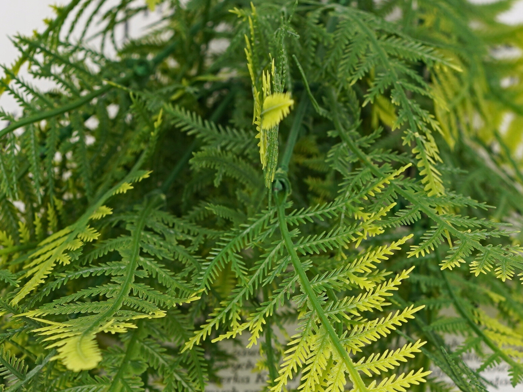 PAPROĆ SZTUCZNA GAŁĄZKA PAPROCI 44cm ASPARAGUS ZIELONA PAPROTKA LIŚCIE Kolor zielony