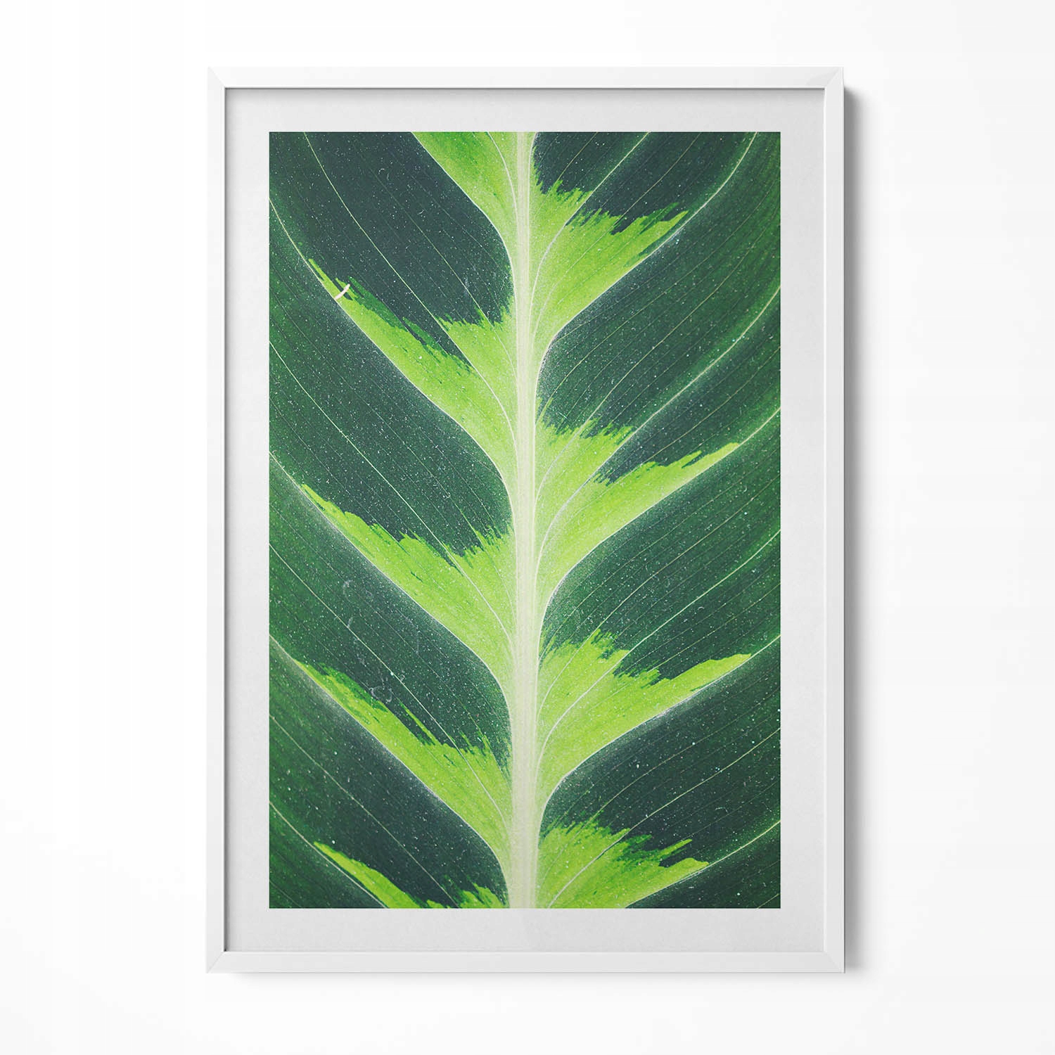 Obraz v bílém rámu, dekorace na zeď, faktura a žilky, listy, 70 x 100 cm