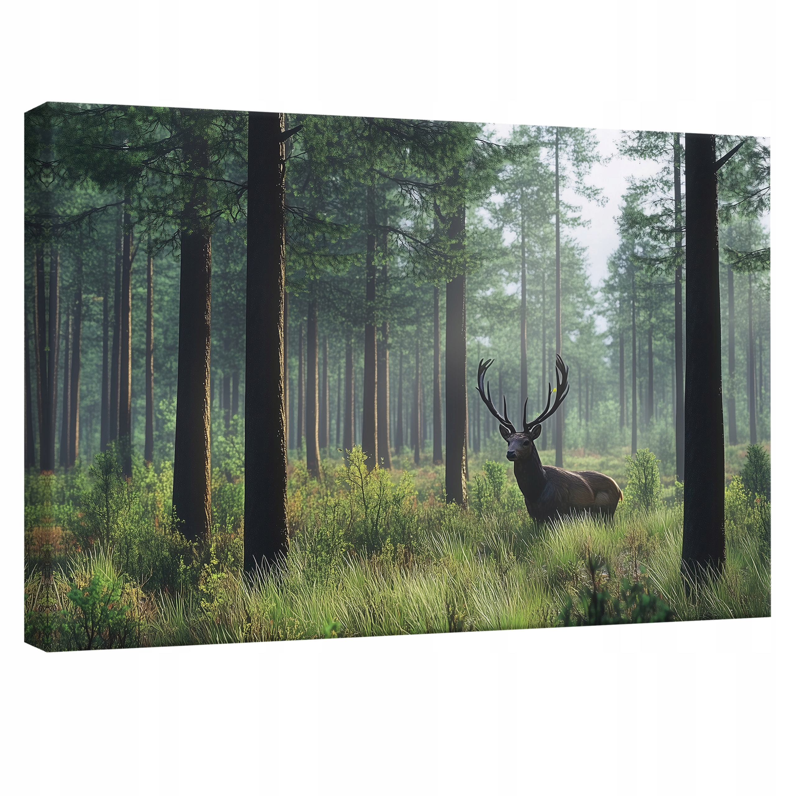 Obraz 120x80 Jelen les sluneční světlo příroda zeleň tráva stromy