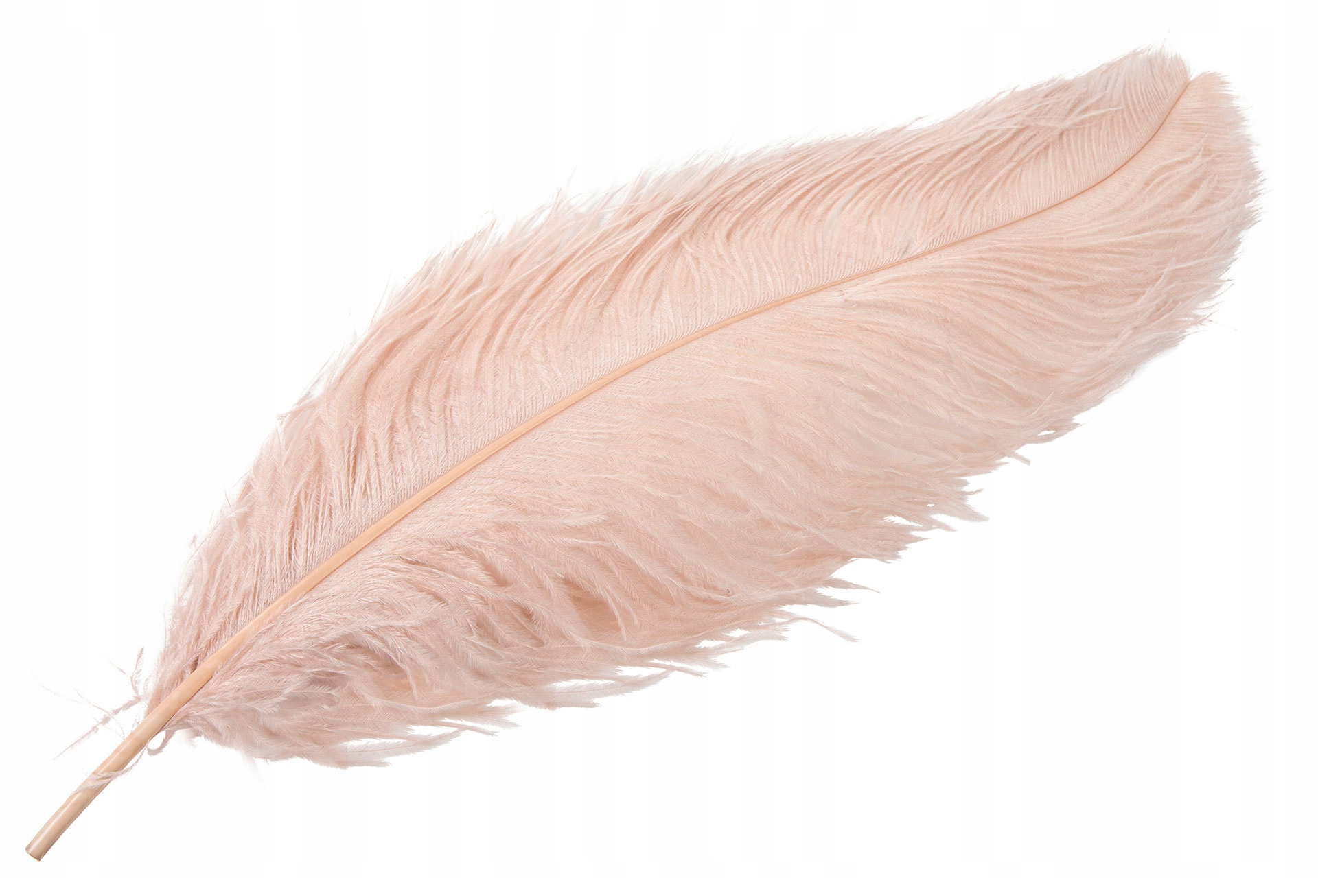 Příběh Strusie dekorativní Pudrowo Růžový 60cm
