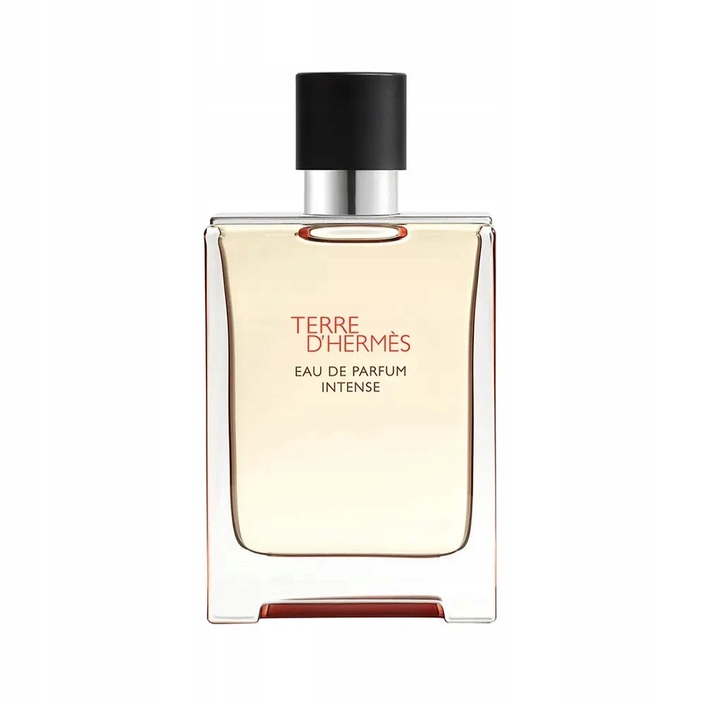 Terre D'hermès Parfum Intense edp vapo 100 ml