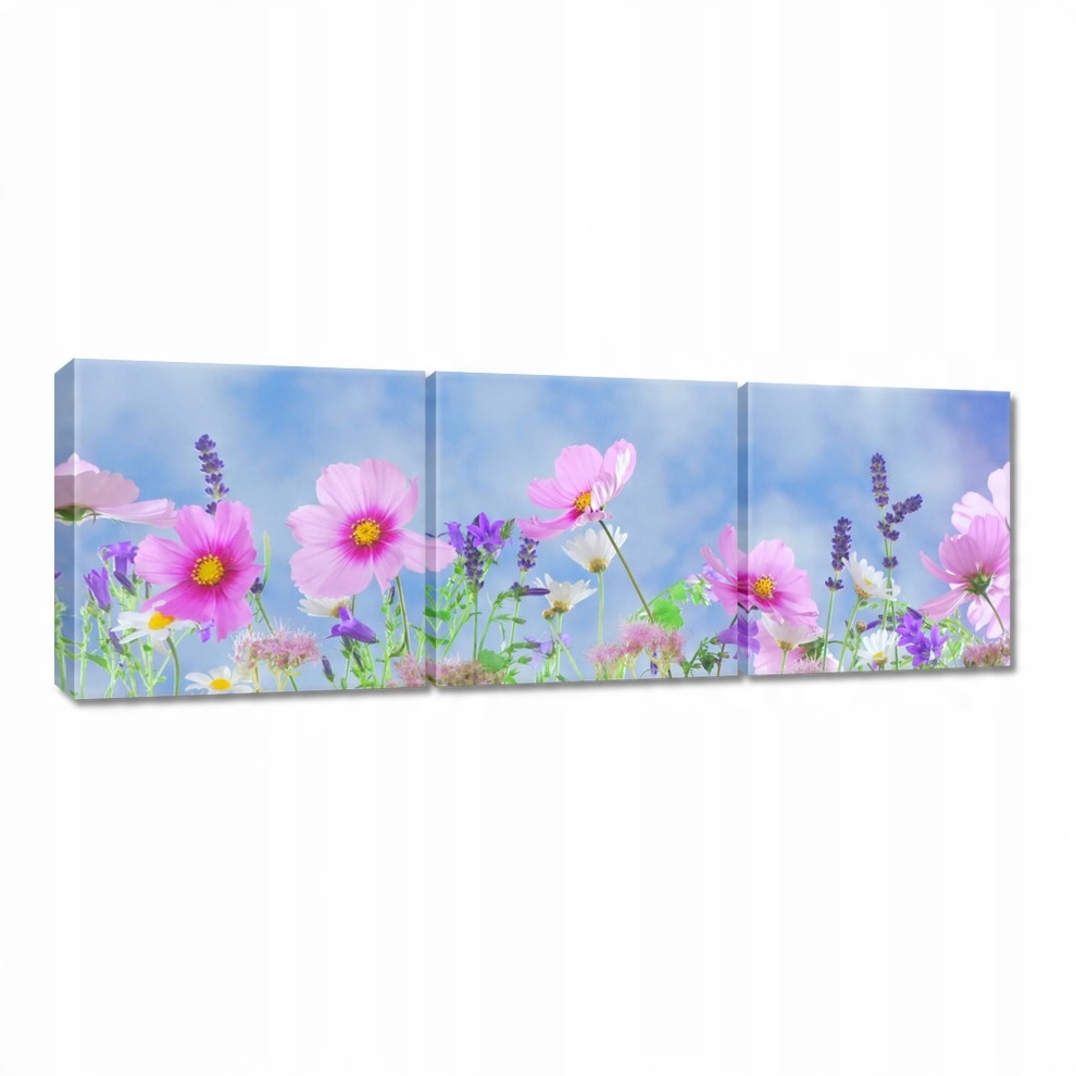 

Obrazy 120x40 Delikatne kwiatki