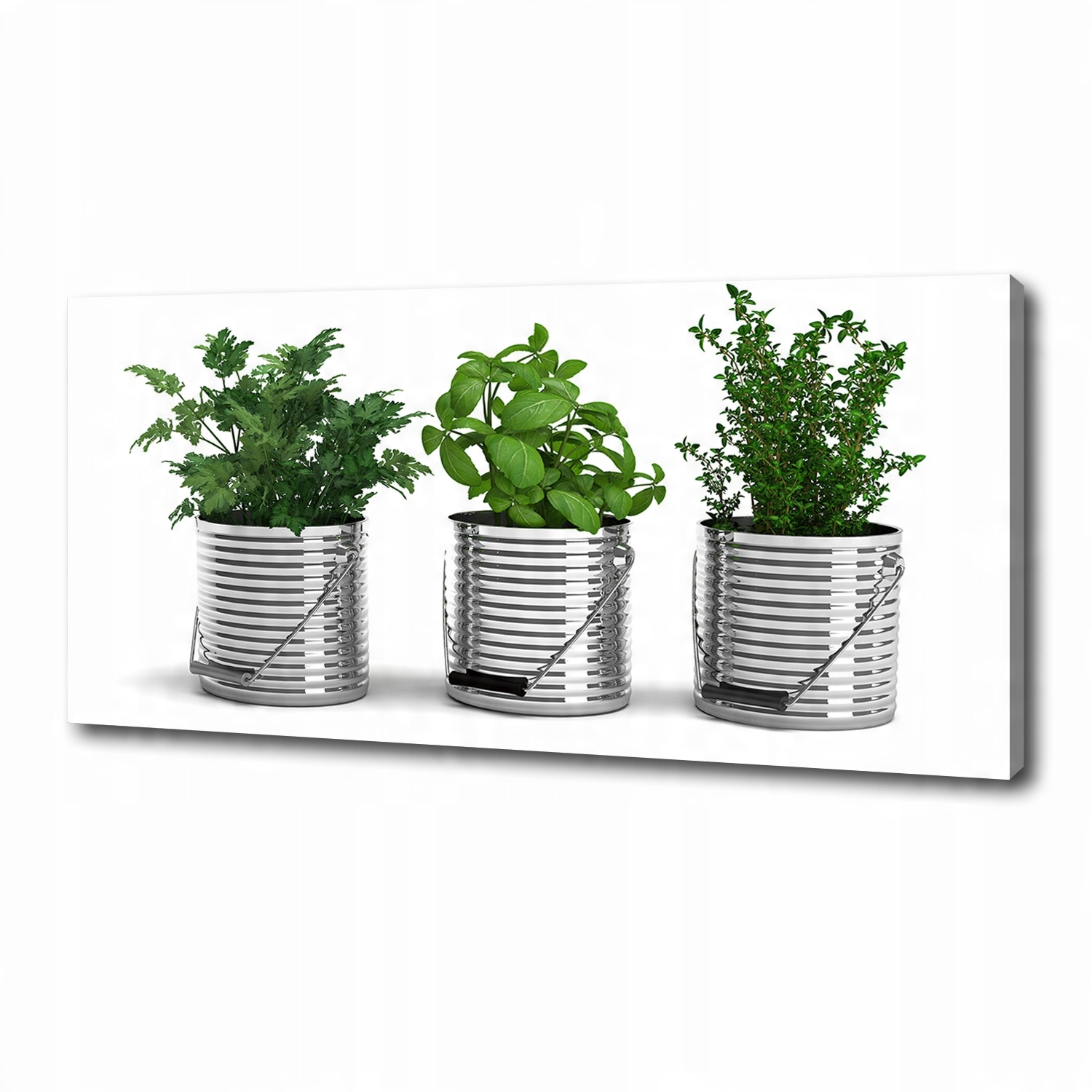 

Foto obraz na płótnie Aromatyczne rośliny 125x50cm