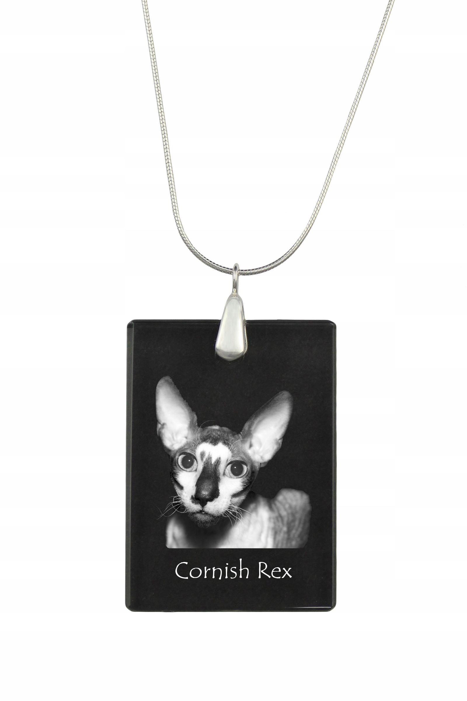 Kočka Cornish Rex stříbrný náhrdelník s křišťálovým přívěskem s fotografií