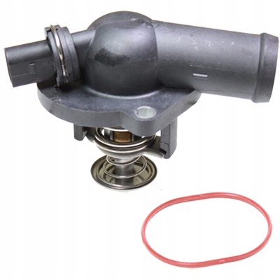 80173 - ТЕЛО РОЖДЕНИЯ, СИСТЕМА ОХЛАЖДЕНИЯ, ОПЦИОНАЛЬНО С TERM