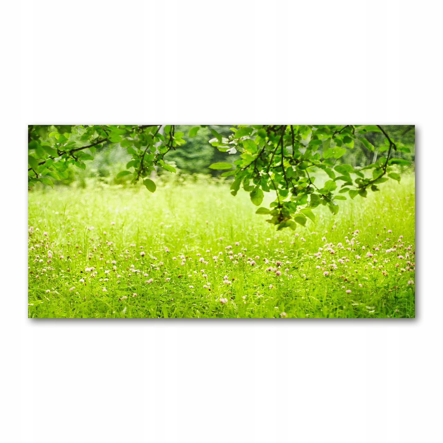 

Foto obraz akryl zdjęcie Zielona łąka 120X60 cm
