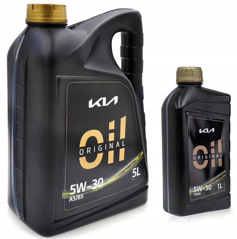 Nový Originálny Motorový Olej Kia 5W30 A5/B5 6L