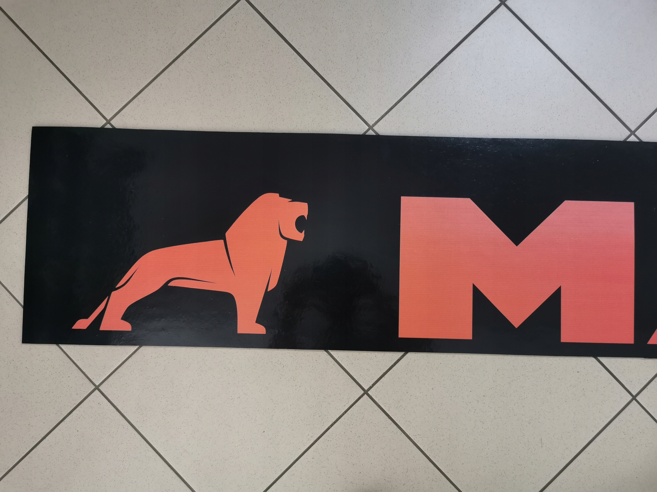 Chlapacz fartuch naczepy przyczepy MAN LEW czarny Installation side Rear