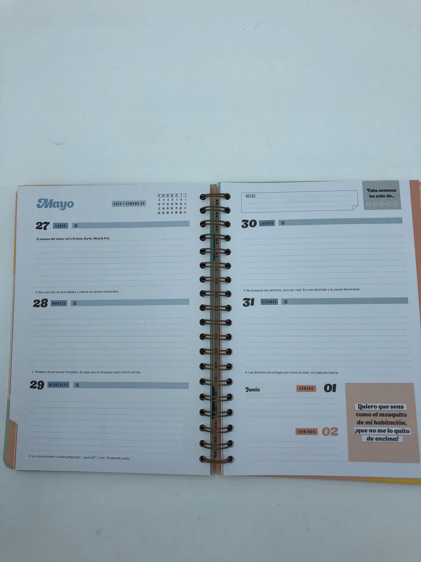 KALENDARZ MR.WONDERFUL, 2023-2024 Rodzaj gadżetu książkowy, komiksowy