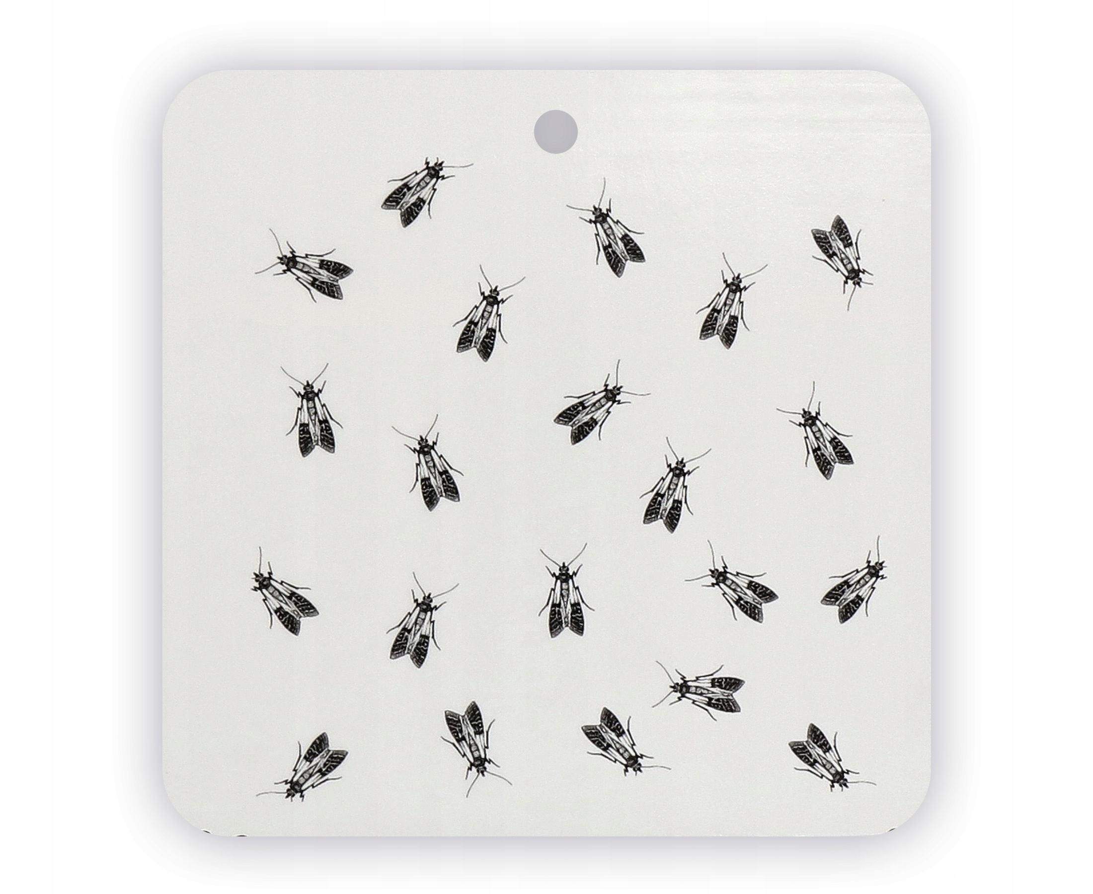 SILNÁ SKLENÁ PÁČKA FOOD MOTH PARTY BEZ ŠKODCA Typ lepkavý