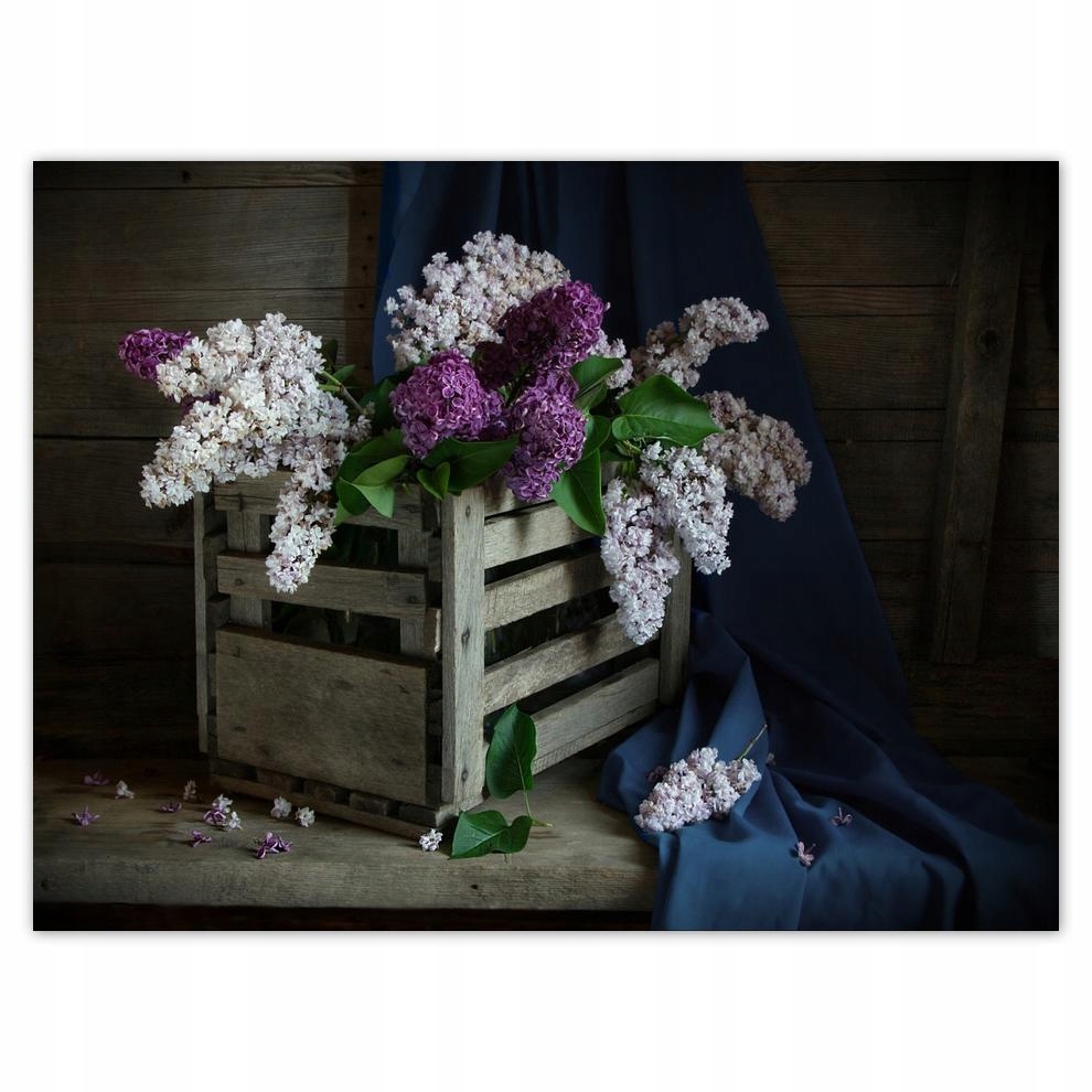 

Plakat 40x30 Bez w skrzynce