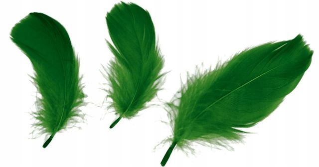 Piórka dekoracyjne ciemnozielone 16g puch 414333 EAN (GTIN) 5903714520862