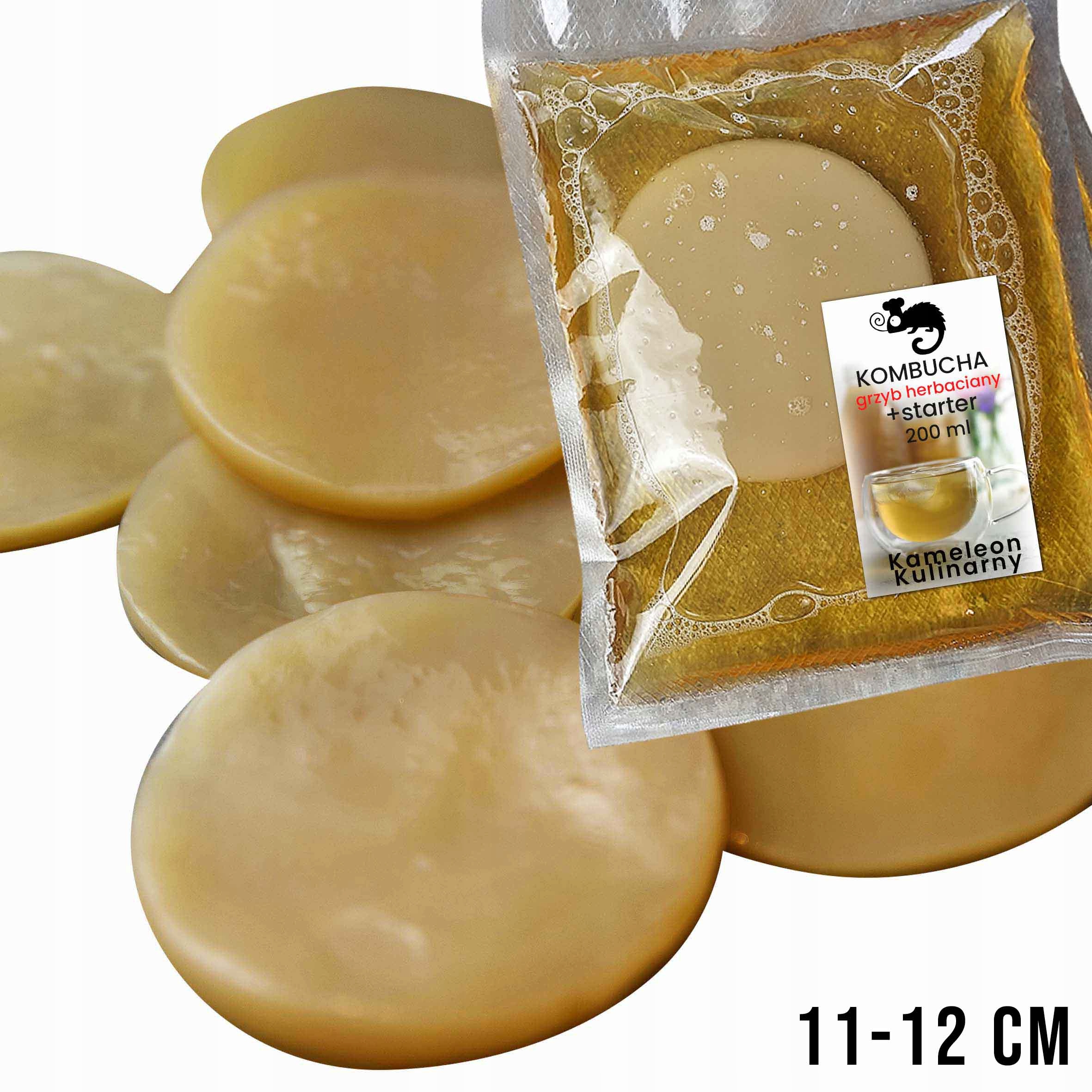 

Grzybek Herbaciany 12 cm Kombucha starter ulotka