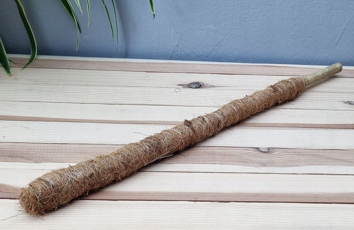 Palik kokosowy-bambusowy 50cm - tyczka do roślin, podpora do pnączy Stan opakowania oryginalne