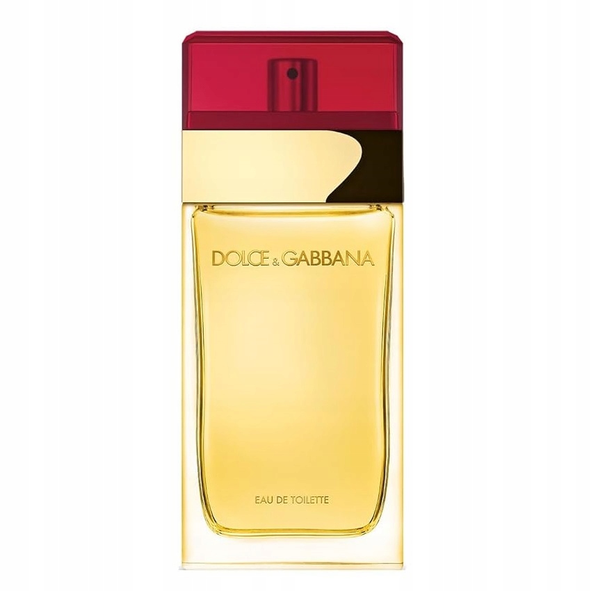 Dolce & Gabbana Pour Femme toaletní voda ve spreji 100 ml