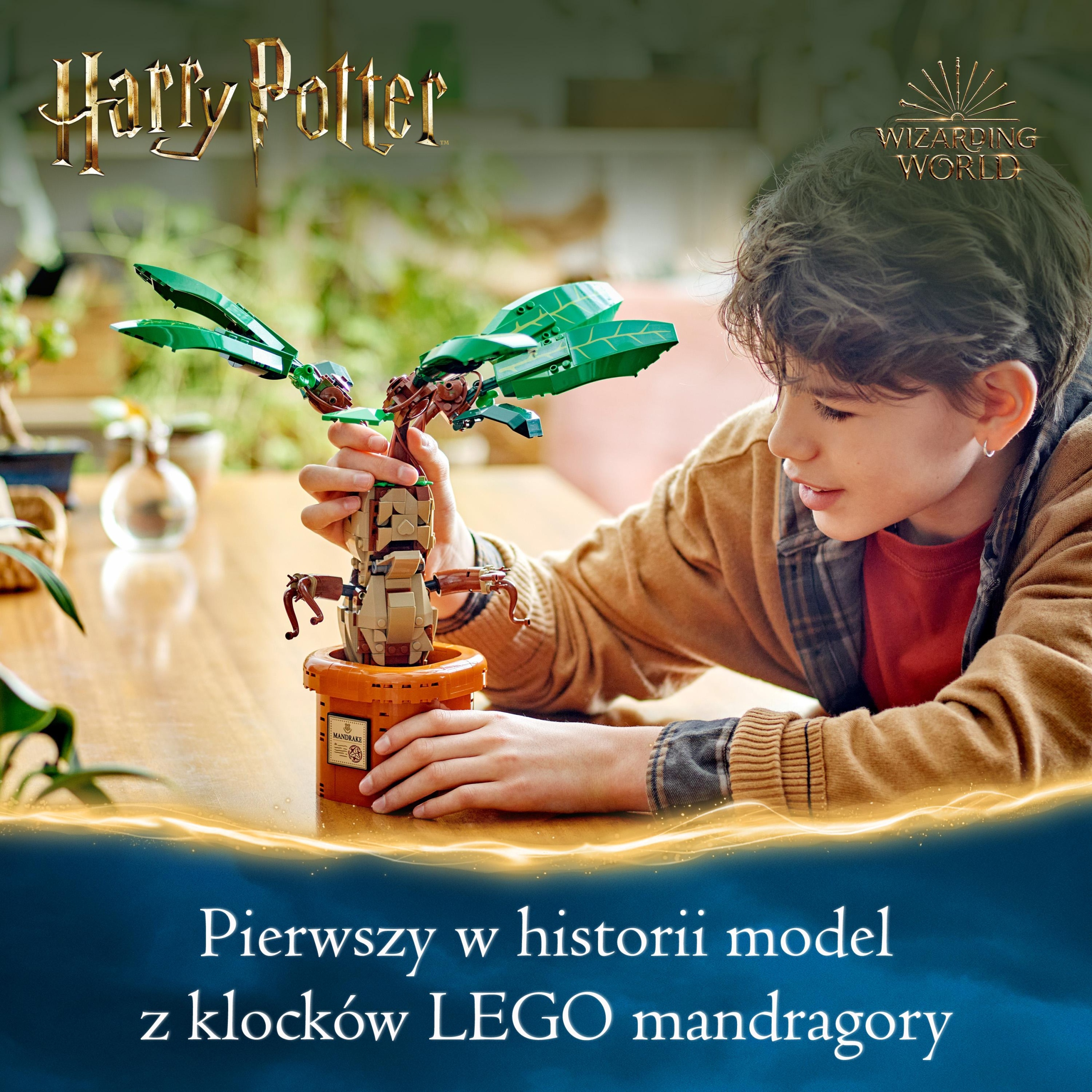 LEGO Harry Potter Mandragora 76433 Numer produktu 76433