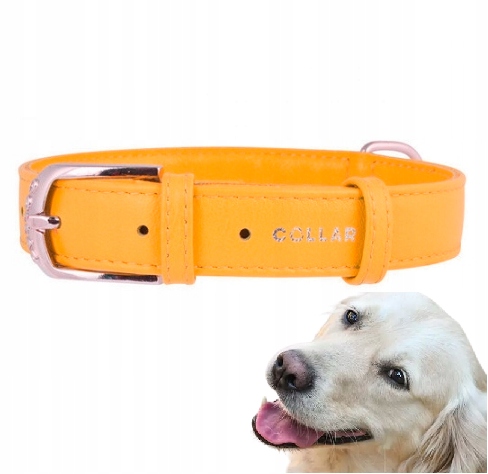 Levně Obojek Pro Psa Z Kůže Waudog Collar 25 MM 38-49 CM Žlutý Silný