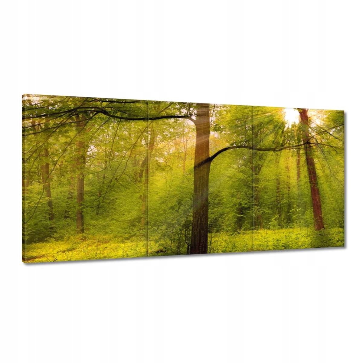 Obrazy 180x90 Magický les Krajina