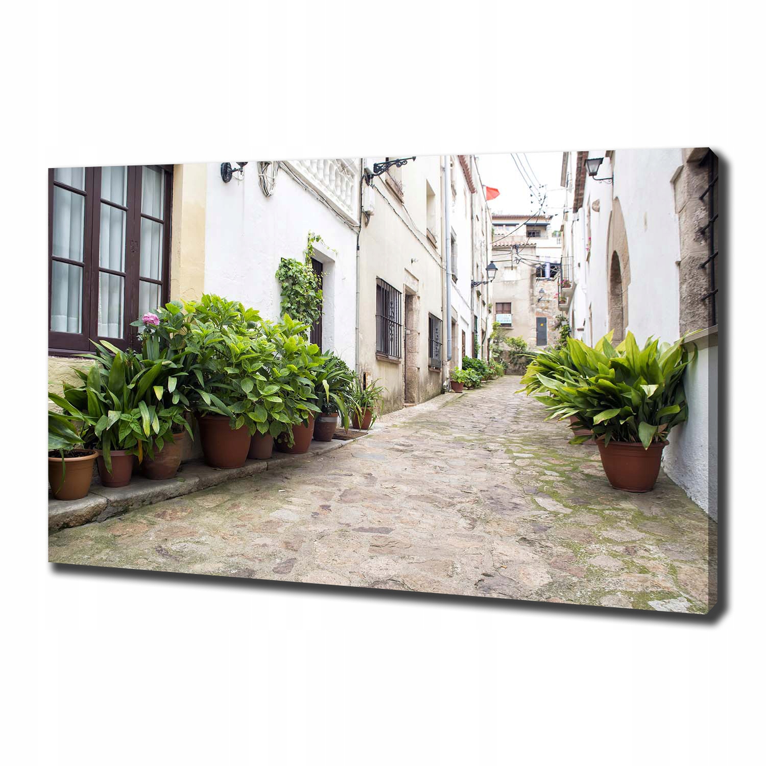 

Foto obraz na płótnie Urokliwa uliczka 100x70 cm